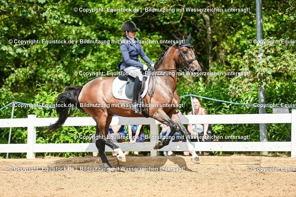 20230716_01_Dressurprüfung Kl.M_0193 | equistock