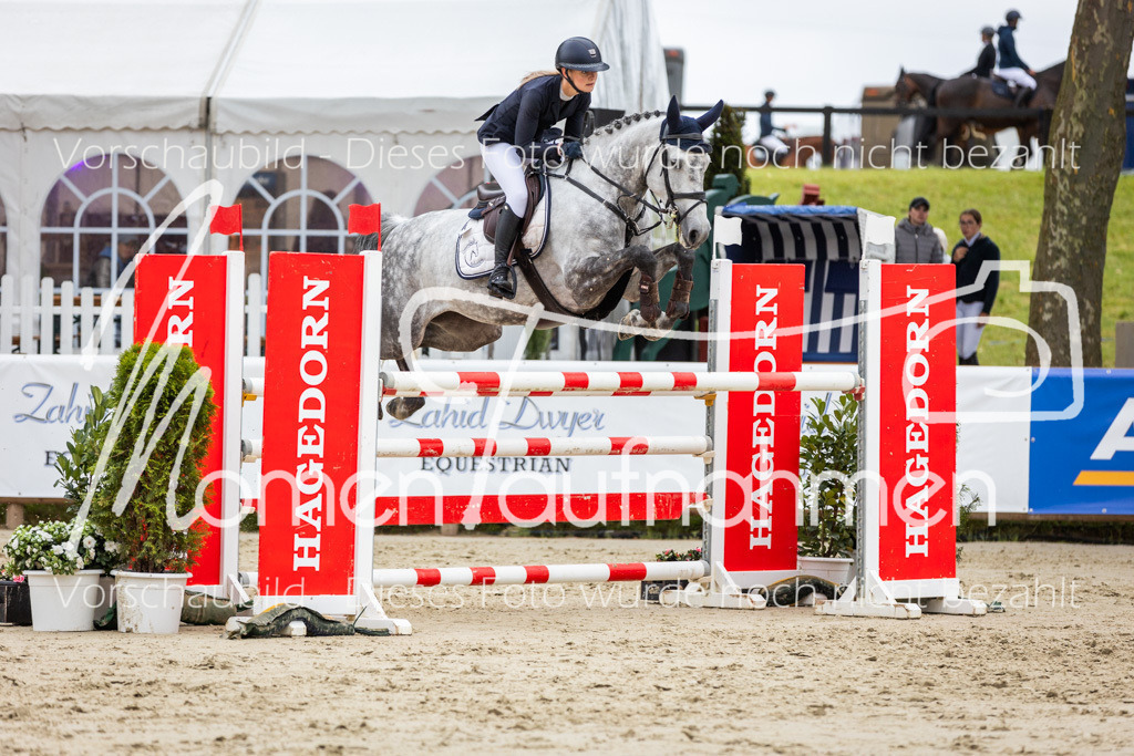 BHO-2PhSpr-M-296 | MomenTaufnahmen Pferdesportfotos