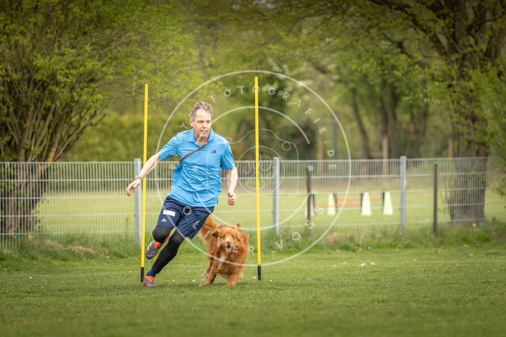 Pfotenfotografie_DV3A7365 | Hundefotografie, Tierfotograf, Pfotenfotografie, Fotoshooting Hund, Hunde Portrait, Hundesport, Hundeportraits, Heideshooting, Hunde, Sportfotograf, Hundefotograf, Turnierhundsport, THS,  - Realisiert mit Pictrs.com