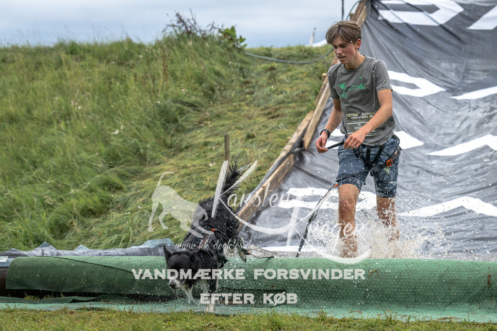 1500_ZZ91758 | kk-dogfotos