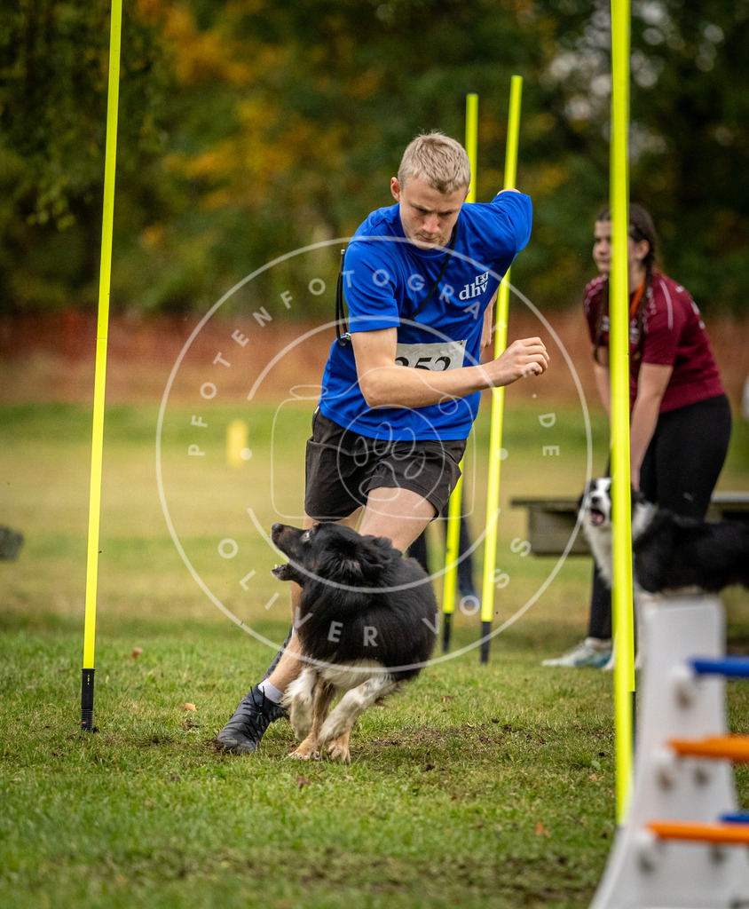 Pfotenfotografie_DV3A0506 | Hundefotografie, Tierfotograf, Pfotenfotografie, Fotoshooting Hund, Hunde Portrait, Hundesport, Hundeportraits, Heideshooting, Hunde, Sportfotograf, Hundefotograf, Turnierhundsport, THS,  - Realisiert mit Pictrs.com