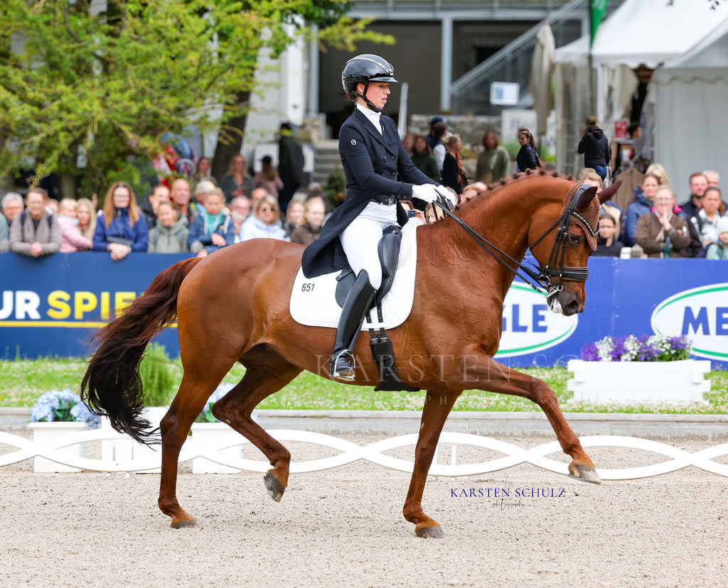 1B3A7443 | Reitsport Reiten