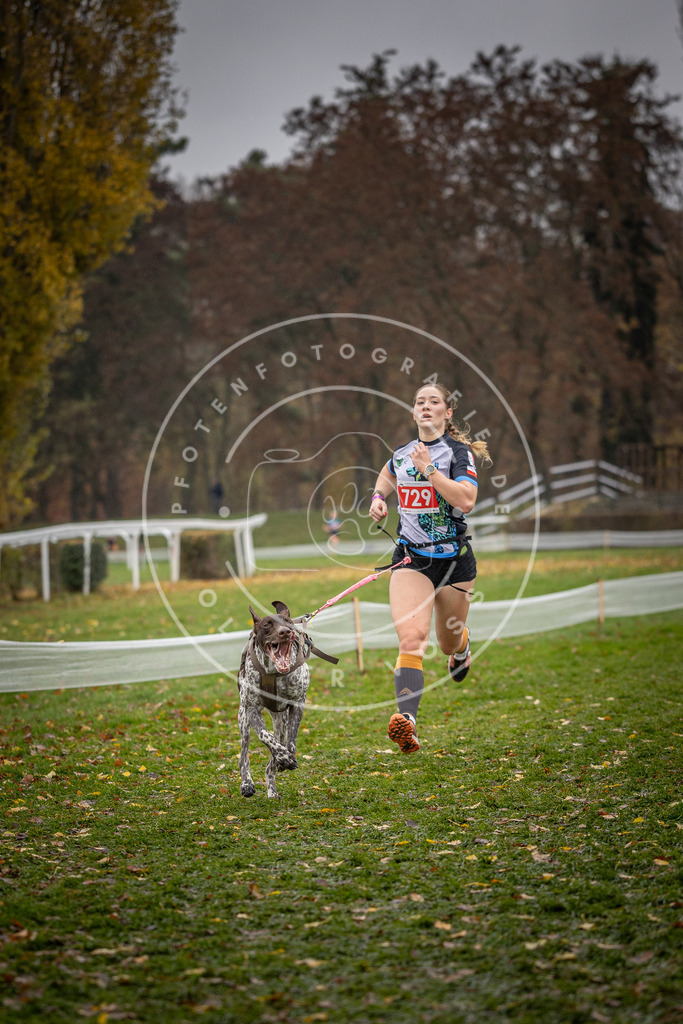 CaniXpix_DV3A9311 | Hundefotografie, Tierfotograf, Pfotenfotografie, Fotoshooting Hund, Hunde Portrait, Hundesport, Hundeportraits, Heideshooting, Hunde, Sportfotograf, Hundefotograf, Turnierhundsport, THS,  - Realisiert mit Pictrs.com