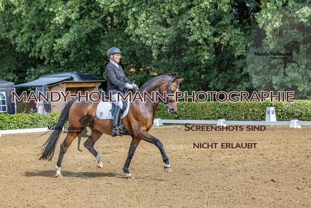 16.8.25 D1 DRE M-163 | mandyhollmannphotographie