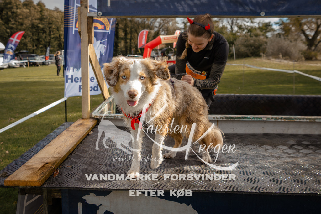 1335_ZZ91513-2 | kk-dogfotos