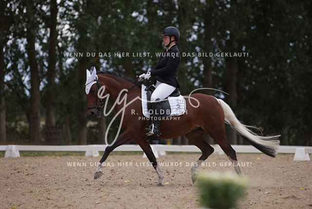 1J2A0881Charlotte Fehr_ Ikon 16_ Kn061_ Wöpkendorf_ Annalena Beier_ Quinn M_ Kn095 | Foto- und Videografie für alles rund ums Pferd. Hochwertige Bilder und Videos vom Spring- und Dressurreiten, Voltigieren & mehr. Jetzt aktuelle Veranstaltungen und Preise im Shop ansehen. - Realisiert mit Pictrs.com