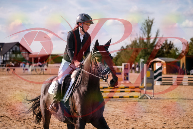 2026_10_03_Siefer-Hof_154847_Z81_67190785 | Professionelle Reitsport-, Turnier- und Eventfotografie von Robert Broda. Galerien mit ausgewählten und bearbeiteten Bildern direkt online ansehen und bestellen.
