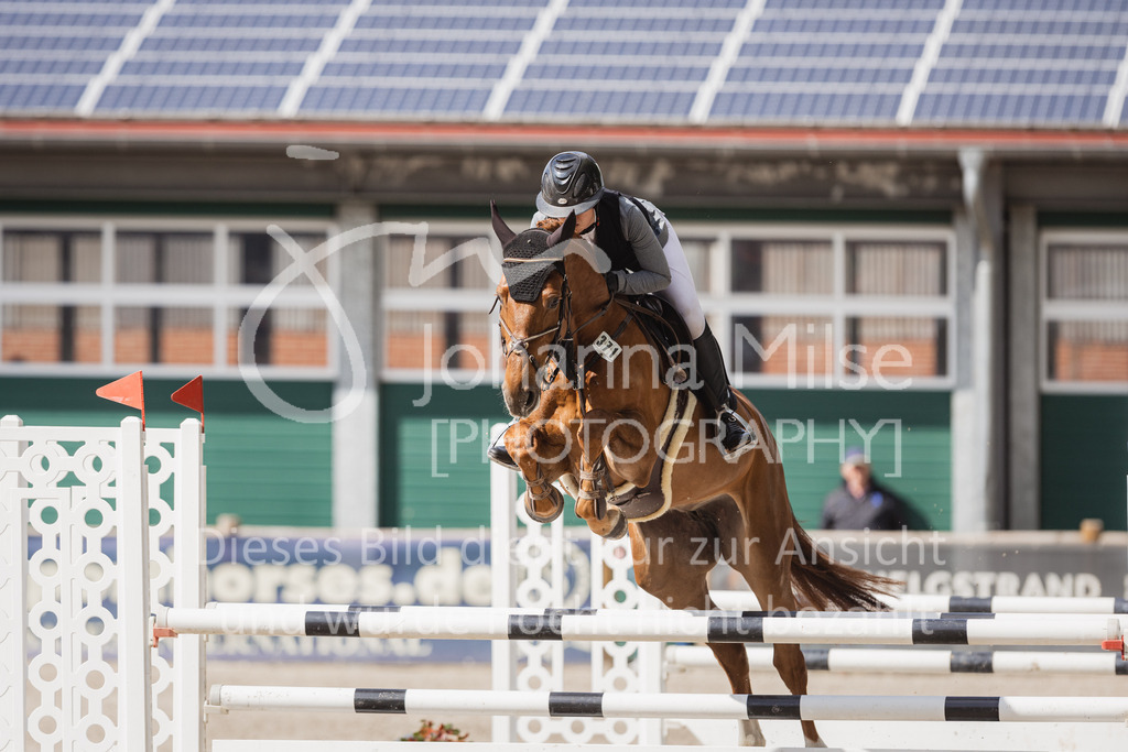 230516_Mühlen_04SprPf-L-474 | Deine schönsten Turniermomente als professionelle Fotos! Entdecke hochwertige Pferdesport-Fotografie im Online-Shop. Jetzt Fotos finden & bestellen!