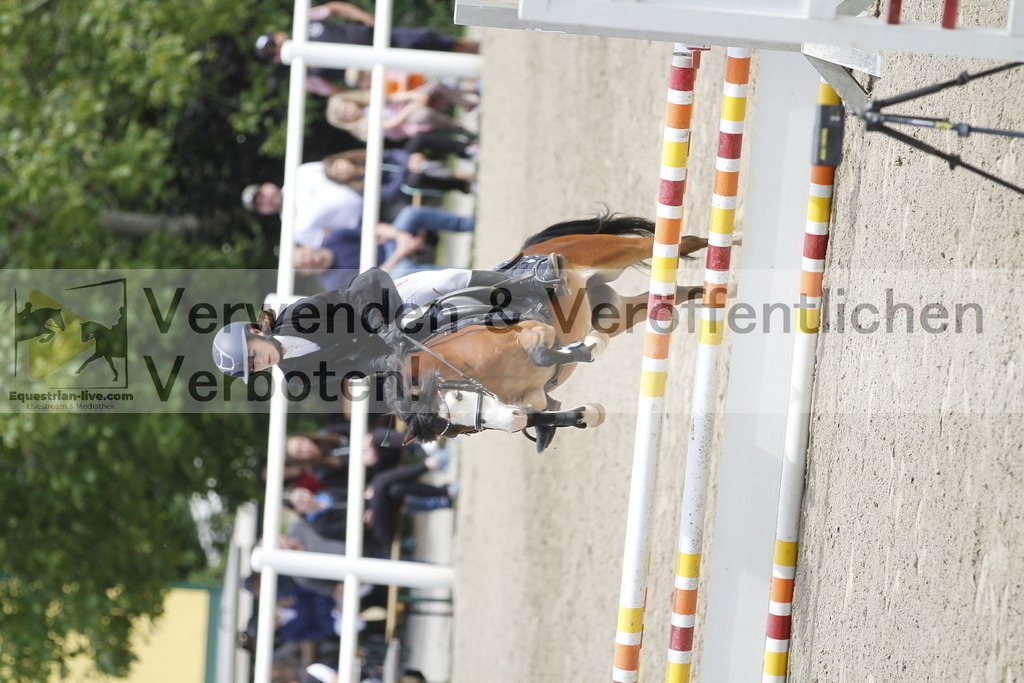 _MG_1293 | equestrian-live-com