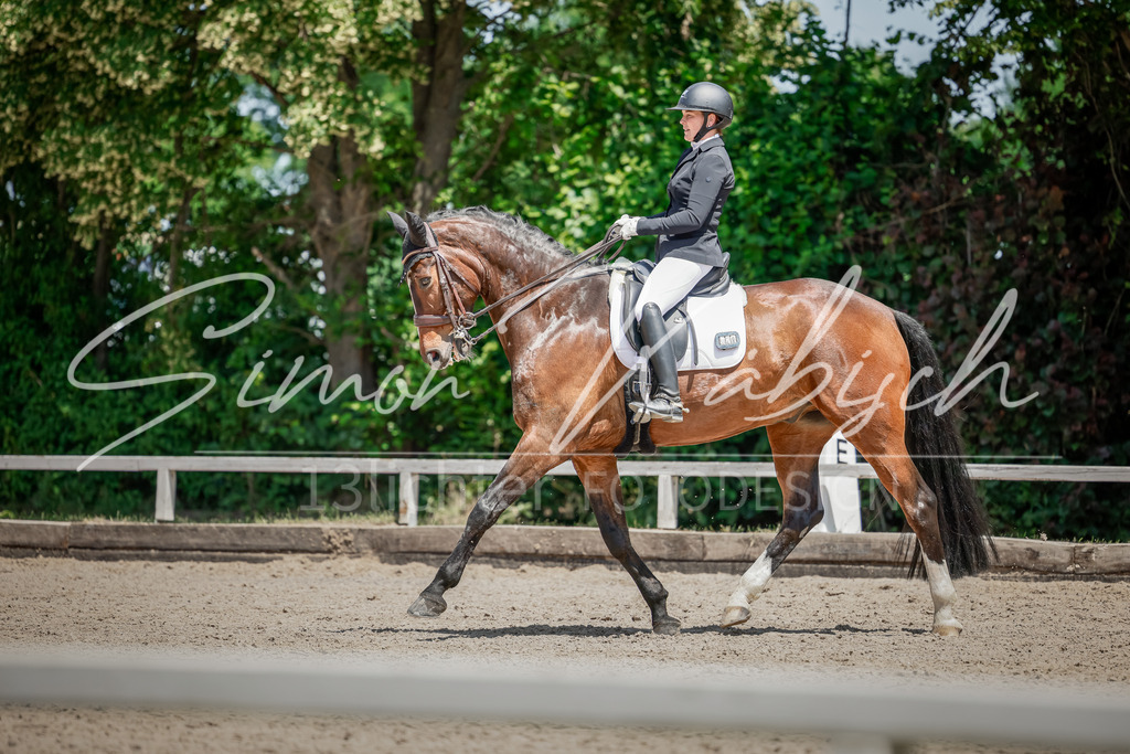 20250621-_3LI7437 | Tierfotografie Pferde, Hunde, Katzen, Haustiere.
Turnierfotografie Reitturniere, Reiten, Springreiten, Dressur in Hanau, dem Main-Kinzig-Kreis und dem Rhein-Main- Gebiet um Frankfurt