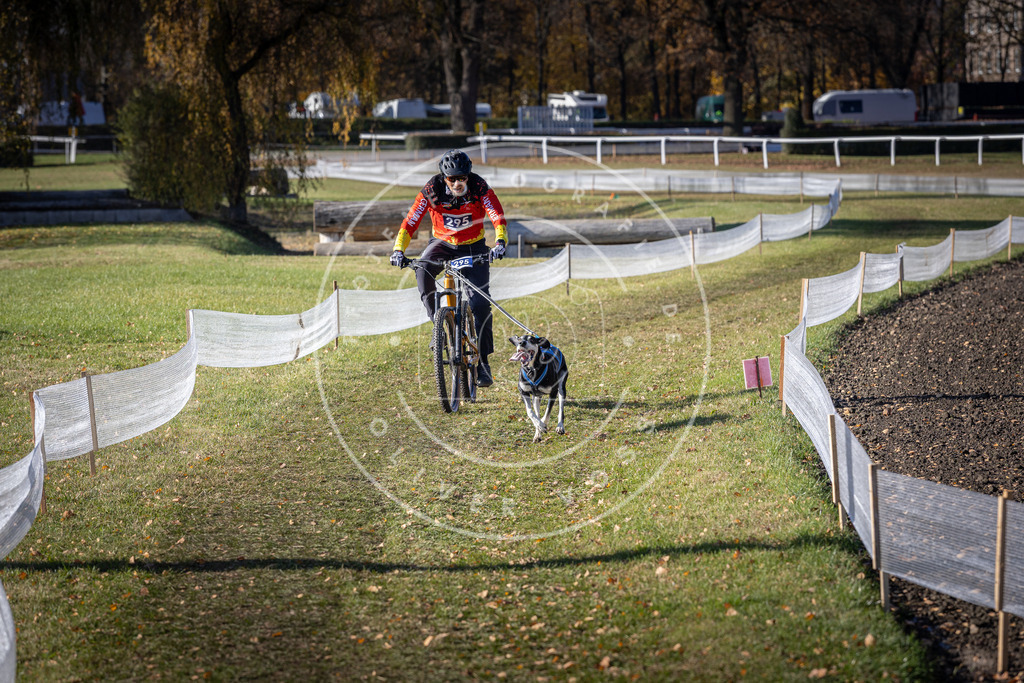 CaniXpix_DV3A5931 | Hundefotografie, Tierfotograf, Pfotenfotografie, Fotoshooting Hund, Hunde Portrait, Hundesport, Hundeportraits, Heideshooting, Hunde, Sportfotograf, Hundefotograf, Turnierhundsport, THS,  - Realisiert mit Pictrs.com