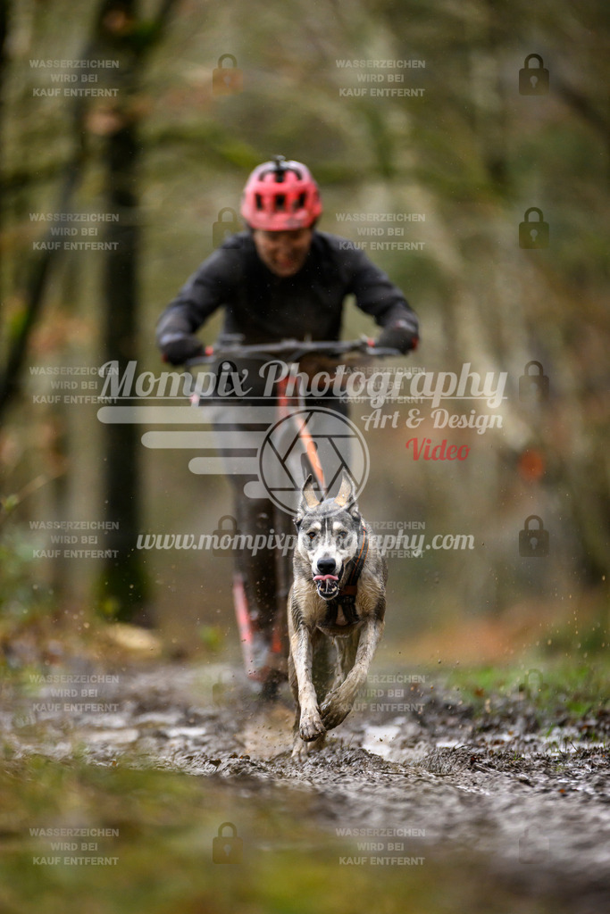 MompixPhotography_CDSM24_SA_DS1-29 | mompixphotography