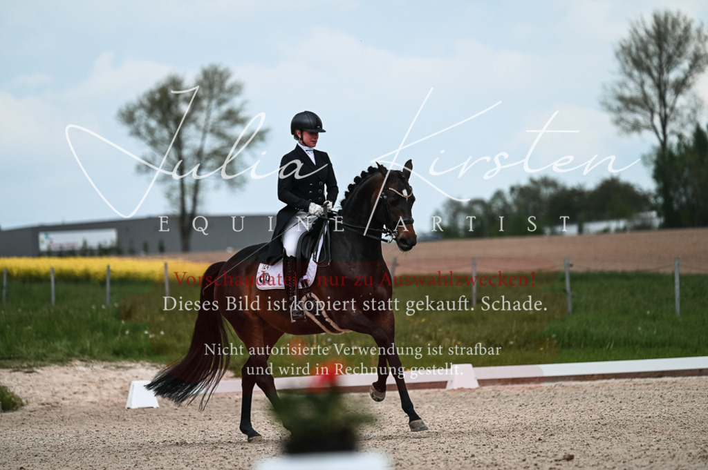 20230514_JK-Röhrsdorf-21-098 | Pferde- und Turnierfotografie in Westsachsen. Pferdeportraits, Auftragszeichnungen und intuitive Kunst.