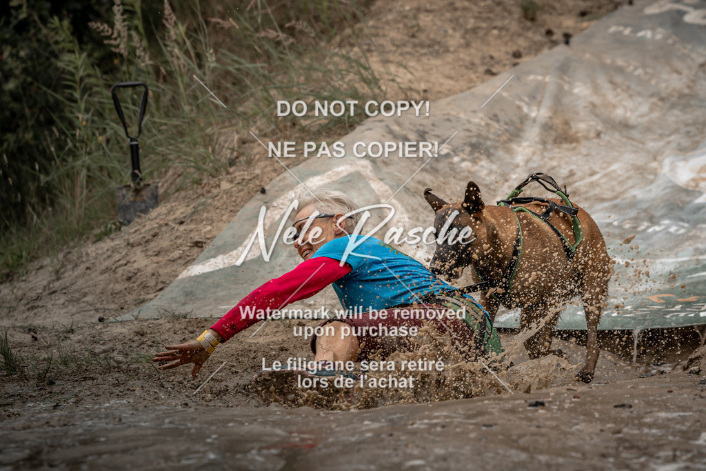 nelerasche_sa1530-1600_105 | nelerasche