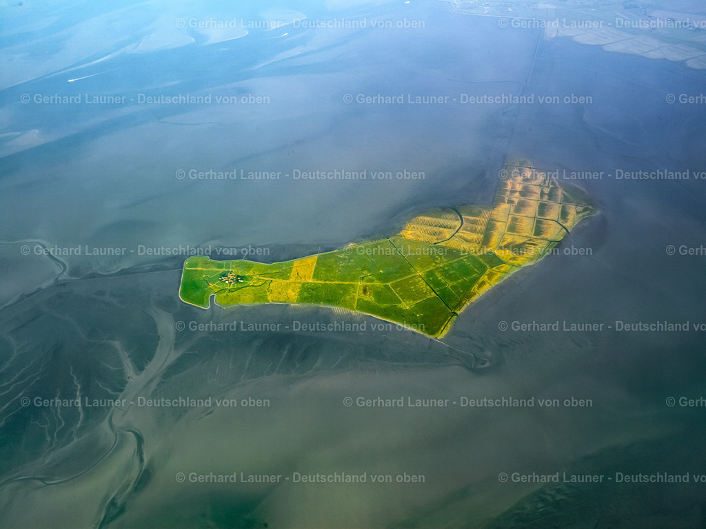 2581214 | Hallig Oland Nationalpark Schleswig-Holsteinisches Wattenmeer