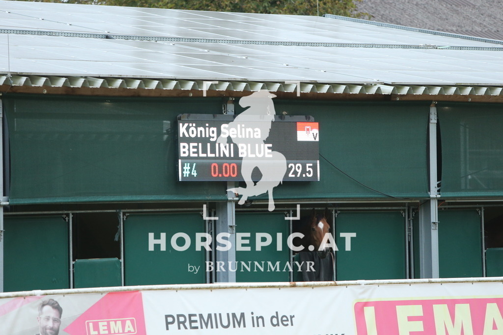 DL2Q3946 | Willkommen bei Brunnmayr - Design & Fotografie – Ihrem Spezialisten für Reitturniere und Pferdeveranstaltungen in Oberösterreich, Salzburg und Bayern! Seit über 17 Jahren sind wir leidenschaftlich dabei.