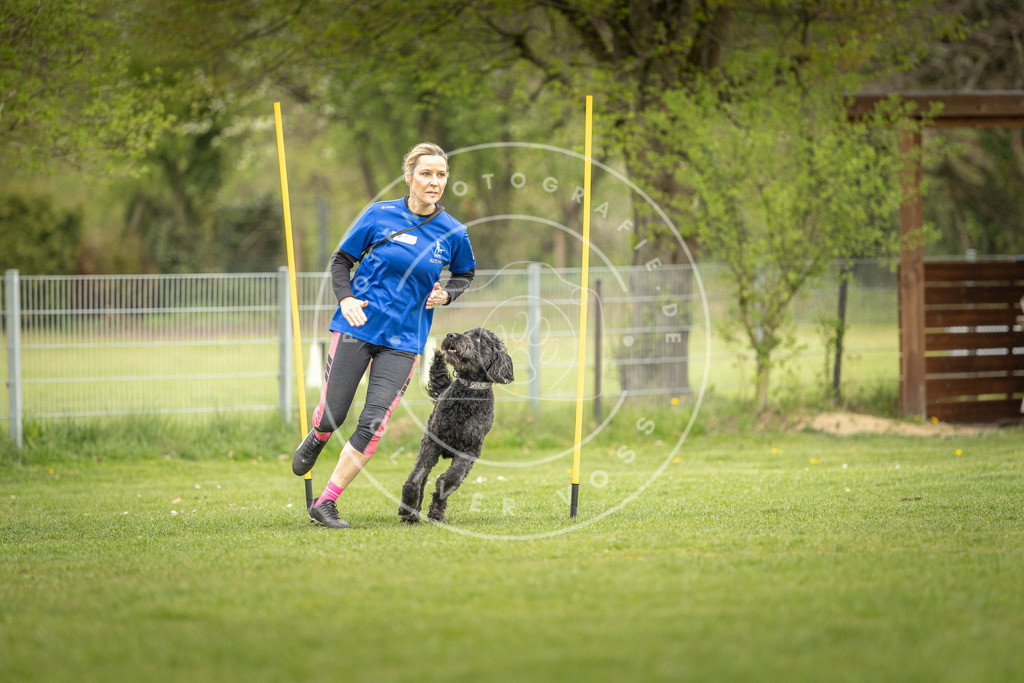 Pfotenfotografie_DV3A0096 | Hundefotografie, Tierfotograf, Pfotenfotografie, Fotoshooting Hund, Hunde Portrait, Hundesport, Hundeportraits, Heideshooting, Hunde, Sportfotograf, Hundefotograf, Turnierhundsport, THS,  - Realisiert mit Pictrs.com