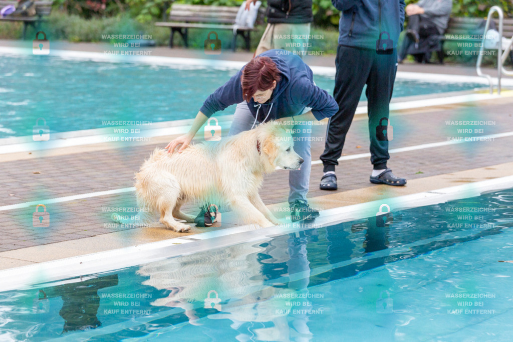 _HP_7200_1000o | HetPix, HetPix Fotodesign, Fotografie, Fotodesign, Webshop, Sportfotografie, Portraitfotografie, Onlineshop, Sportfotografie, Polch, Motorsportfotografie, Eventfotografie