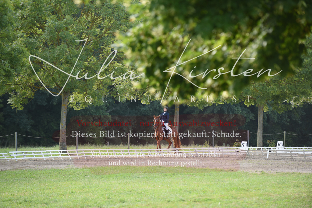 DSC_8570 | Pferde- und Turnierfotografie in Westsachsen. Pferdeportraits, Auftragszeichnungen und intuitive Kunst.