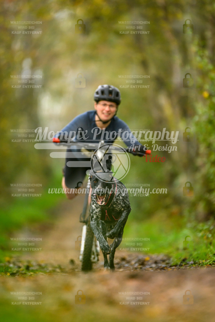 MompixPhotography_20TSB_E6_DS1-23 | PayLife