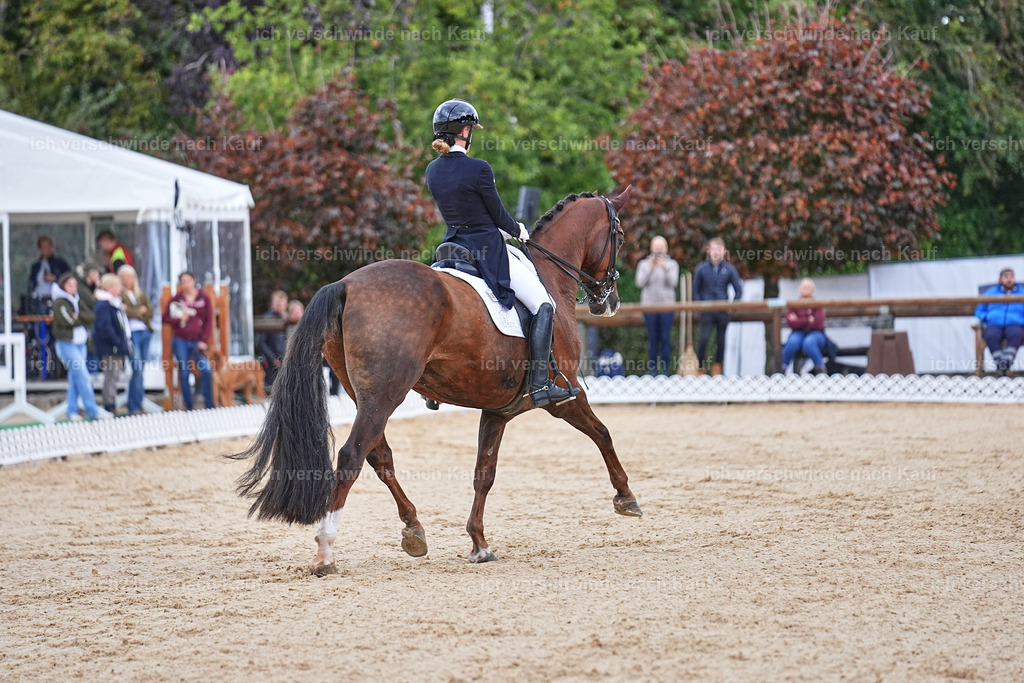 8_1-085-Klasse S_  -Marixx-4094 | working equitationturnier fotograf videograf stoibphotography marixx film working equitation deutschland reitsport turnierfotografie eventfotografie equestrian events