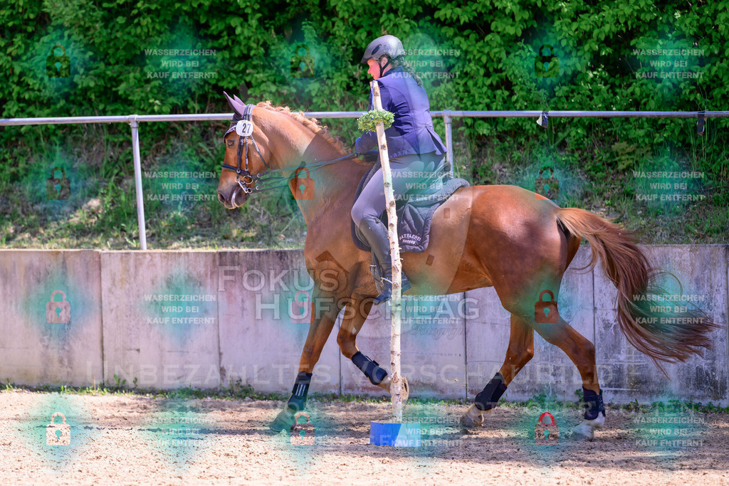 03052026-Giesenbach-04-Stiltrail-0549 | Fokus Hufschlag Fotografie - Realisiert mit Pictrs.com