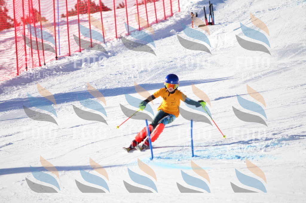 C5850 | holidayphoto