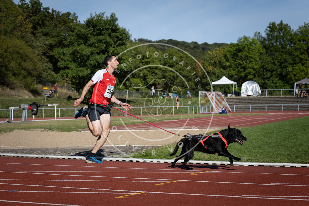 Pfotenfotografie_DV3A9220 | Hundefotografie, Tierfotograf, Pfotenfotografie, Fotoshooting Hund, Hunde Portrait, Hundesport, Hundeportraits, Heideshooting, Hunde, Sportfotograf, Hundefotograf, Turnierhundsport, THS,  - Realisiert mit Pictrs.com