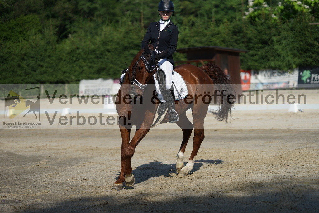 DSC04467 | equestrian-live-com