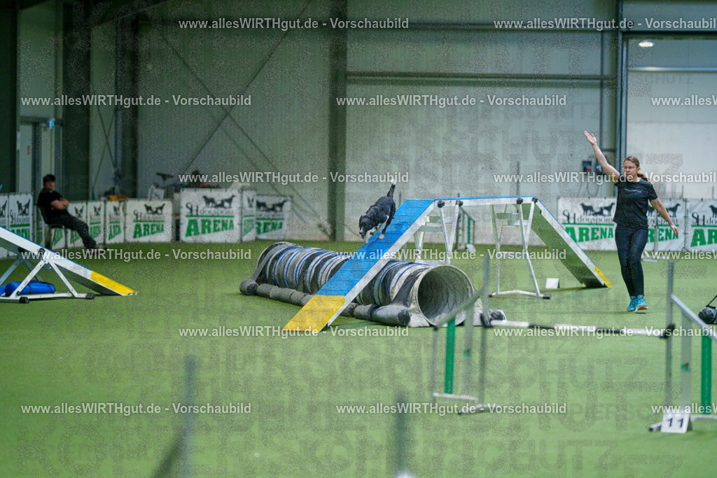 @allesWIRTHgut_Tierfotografie - www.allesWIRTHgut.de - 2604250830-7R506886 | Professionelle Tierfotografie in Mönchengladbach von Daniel Wirth (allesWIRTHgut). Liebevolle & natürliche Bilder von Hunden & Katzen für unvergessliche Erinnerungen.