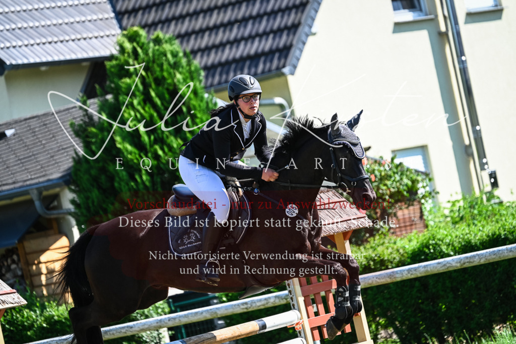 DSC_1631 | Pferde- und Turnierfotografie in Westsachsen. Pferdeportraits, Auftragszeichnungen und intuitive Kunst.