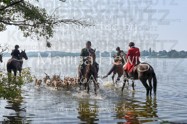 09-23 JAgd PerdölDSC02235_Marina Hewig | Fotografie, FotoArt, PferdesportArt, Pferdesportfotografie, Landschaftsfotografie, Reisefotografie, Reise, Pferde - Realisiert mit Pictrs.com