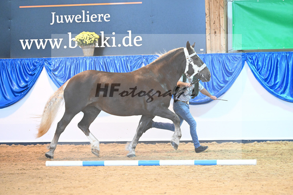Kat-Nr. 53 Zusi_Echtler_53220104 | hf-fotografie - Realisiert mit Pictrs.com