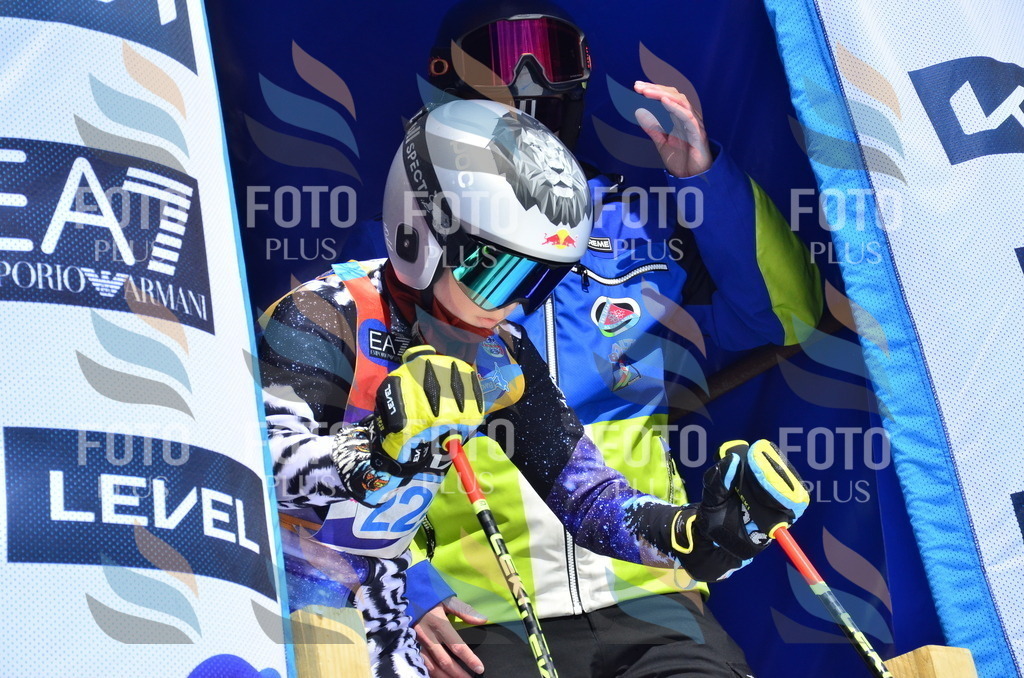 _ELE1591 | holidayphoto