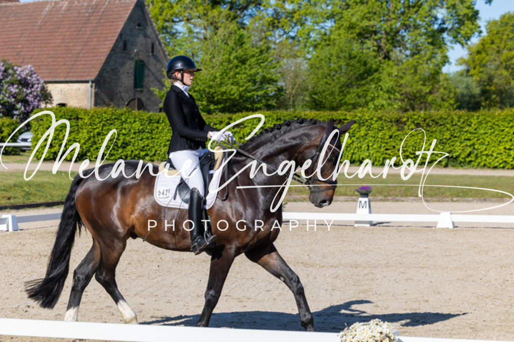 7I8A8925 | melanie-engelhardt-photography - Realisiert mit Pictrs.com