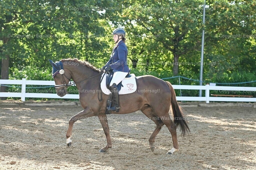 20230715_06_Dressurpferdeprfg. Kl.A_0124 | equistock