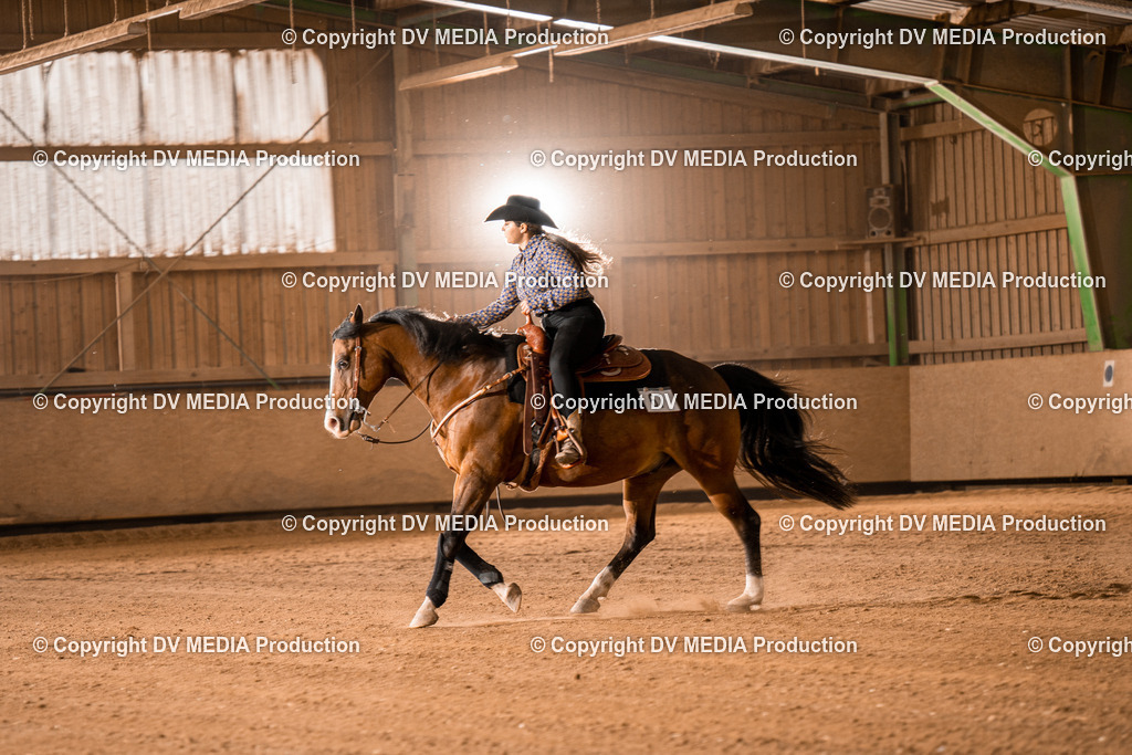 BA301127 | dv-media-shop - Realisiert mit Pictrs.com