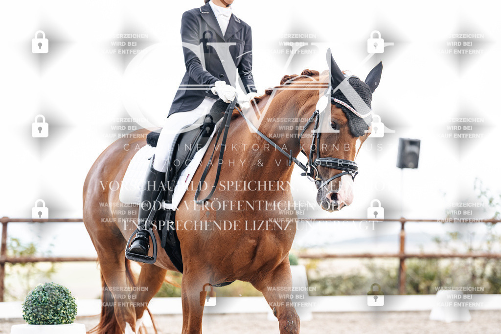 CK900721 | Turnierfotografie Pferdefotografie Trier Rheinland-Pfalz Pferdesport Reitsport Tierfotografie Sportfotografie Pferdevideo Pferdevideografie Equestrianvideography equestrianphotography  - Realisiert mit Pictrs.com