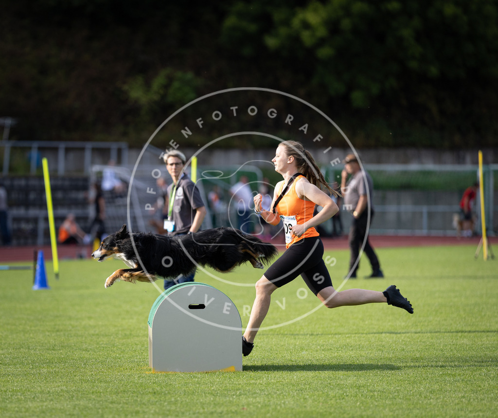 Pfotenfotografie_DV3A2719 | Hundefotografie, Tierfotograf, Pfotenfotografie, Fotoshooting Hund, Hunde Portrait, Hundesport, Hundeportraits, Heideshooting, Hunde, Sportfotograf, Hundefotograf, Turnierhundsport, THS,  - Realisiert mit Pictrs.com