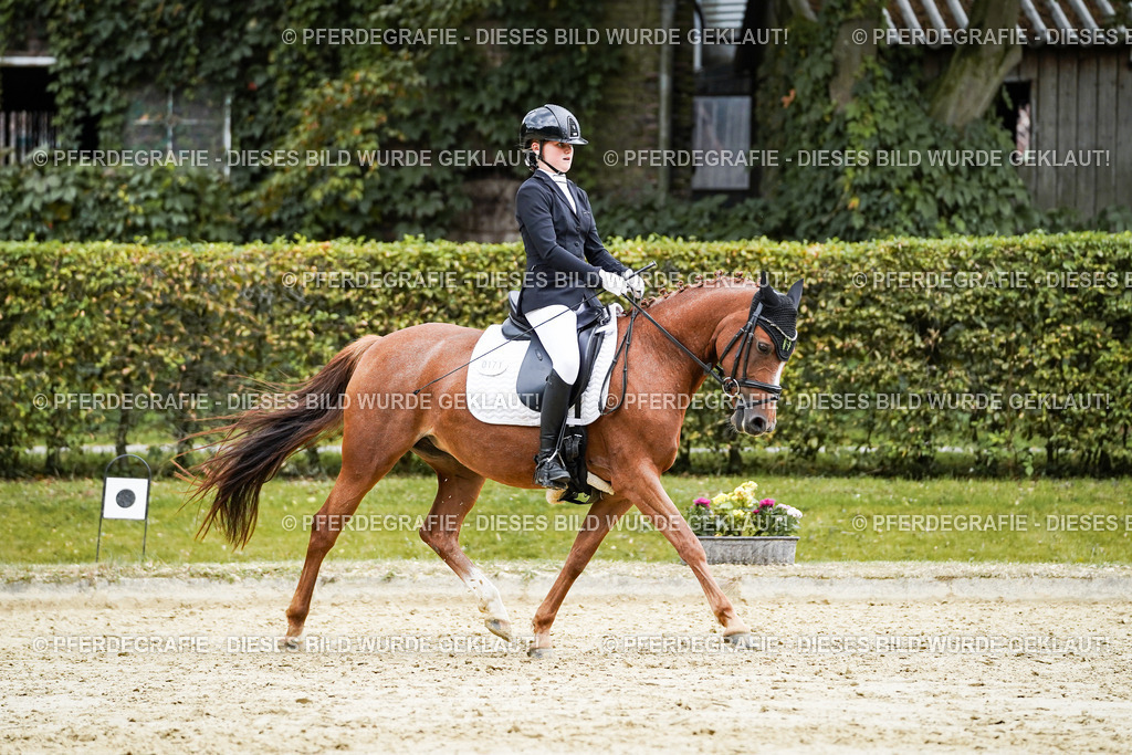 DSC08206 | Pferdegrafie