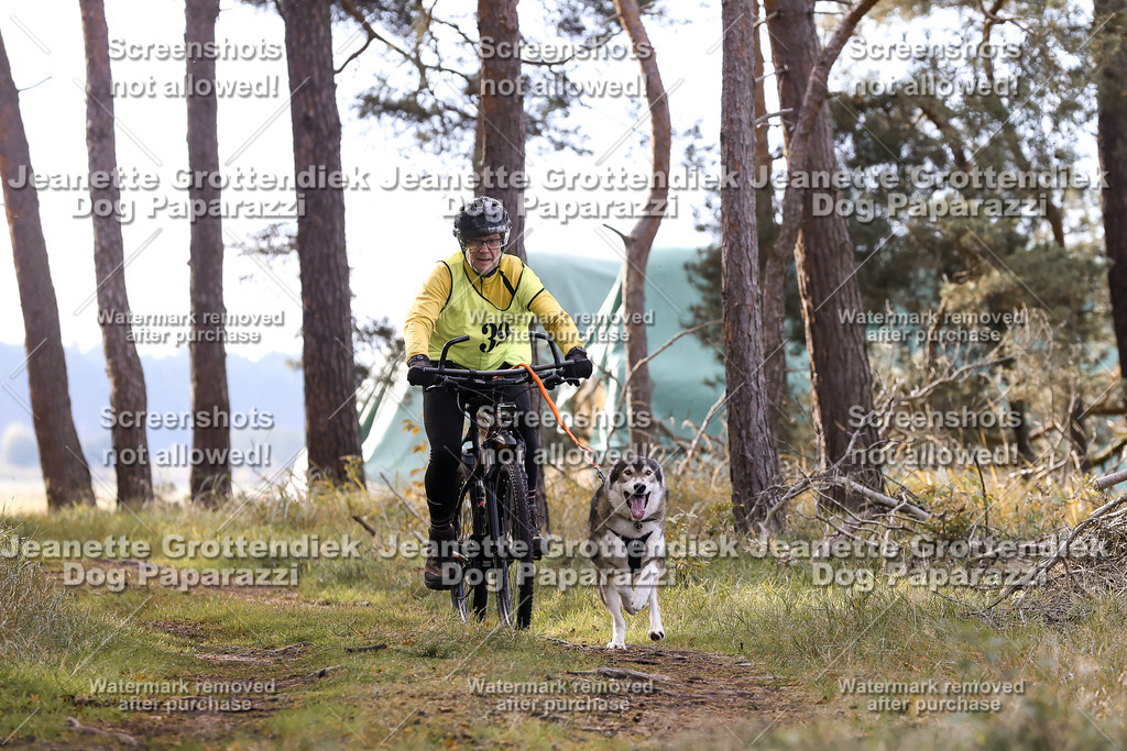 Dog Paparazzi - Elsholz 25 -148 | Dog Paparazzi Jeanette Grottendiek Fotografie & Videografie - Realisiert mit Pictrs.com