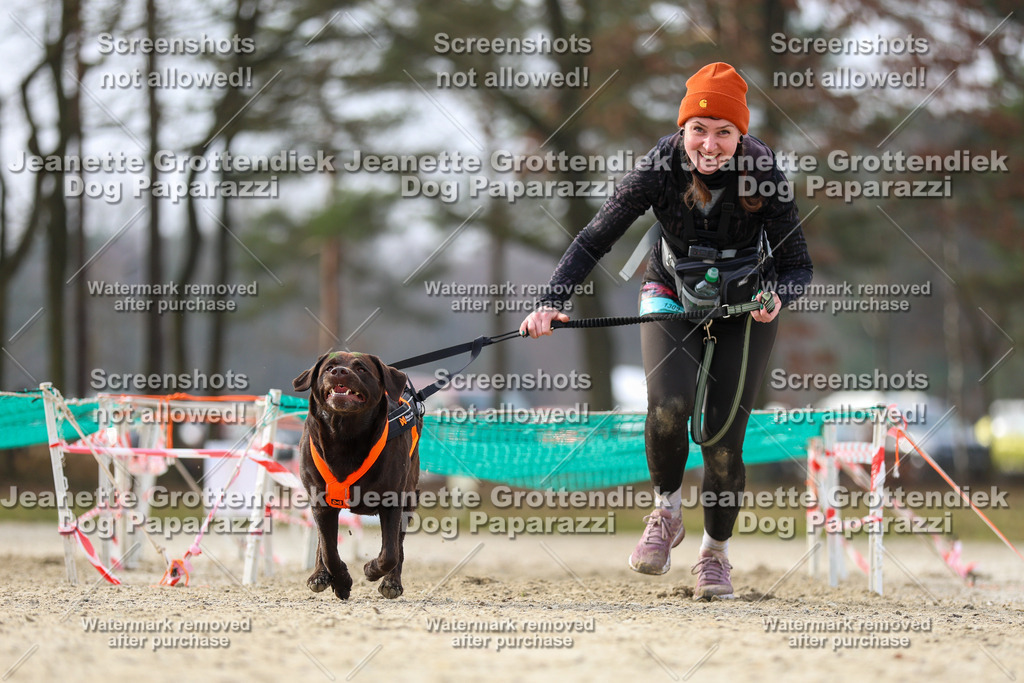 Dog Paparazzi - Strongdog North Mrz26-4802 | Dog Paparazzi Jeanette Grottendiek Fotografie & Videografie - Realisiert mit Pictrs.com