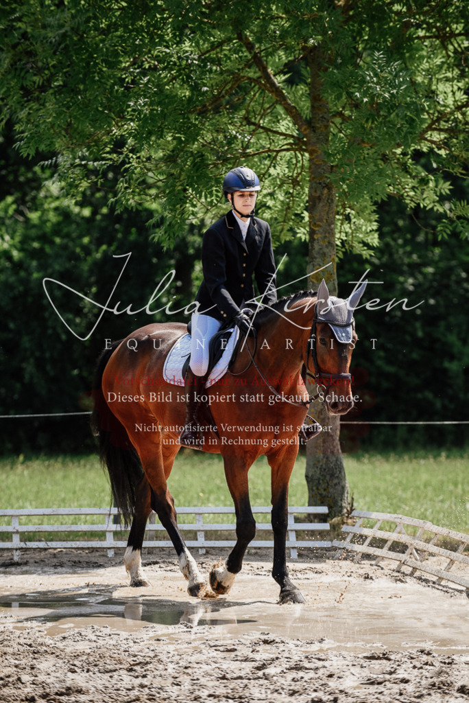 DSC_1111 | Pferde- und Turnierfotografie in Westsachsen. Pferdeportraits, Auftragszeichnungen und intuitive Kunst.