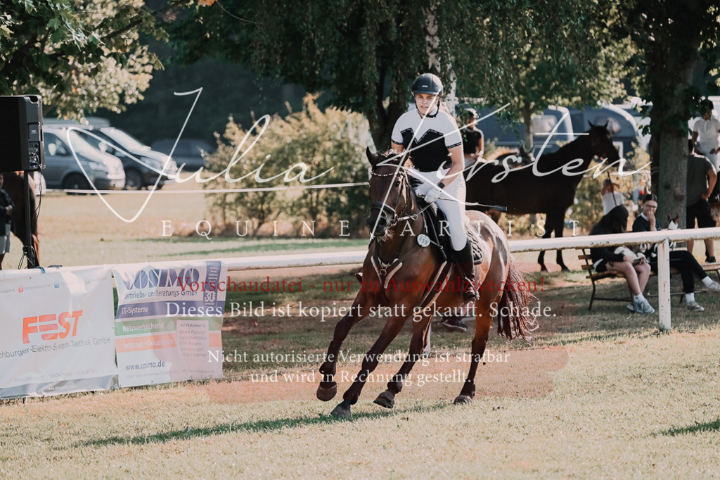 DSC_4596 | Pferde- und Turnierfotografie in Westsachsen. Pferdeportraits, Auftragszeichnungen und intuitive Kunst.
