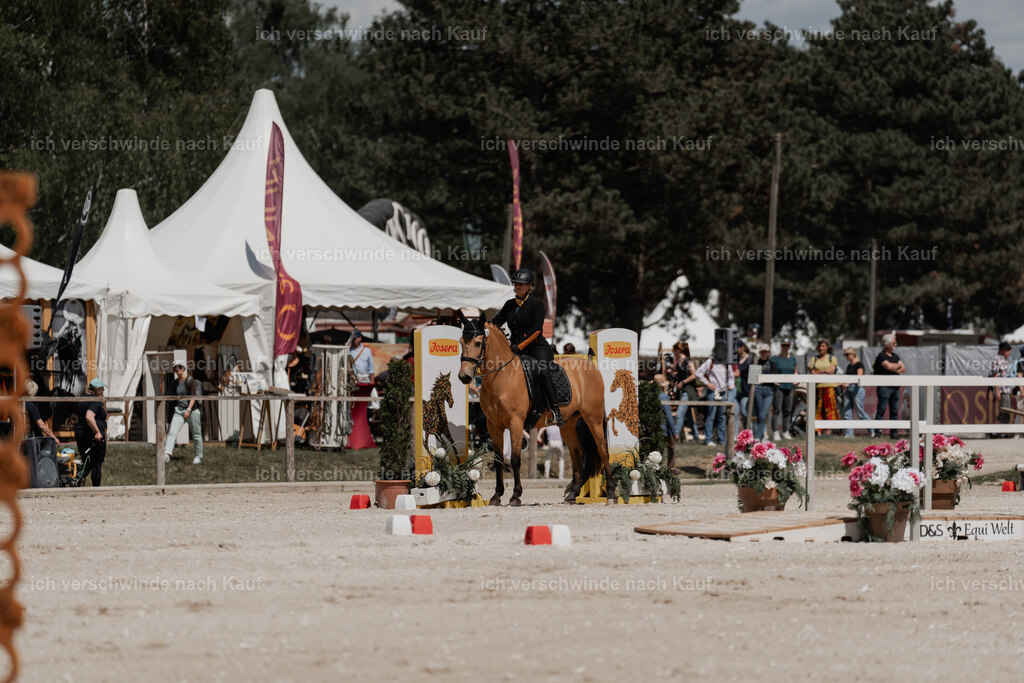WE_ST_Stoib_319_PI2025_1284 | Pferd International München 2025