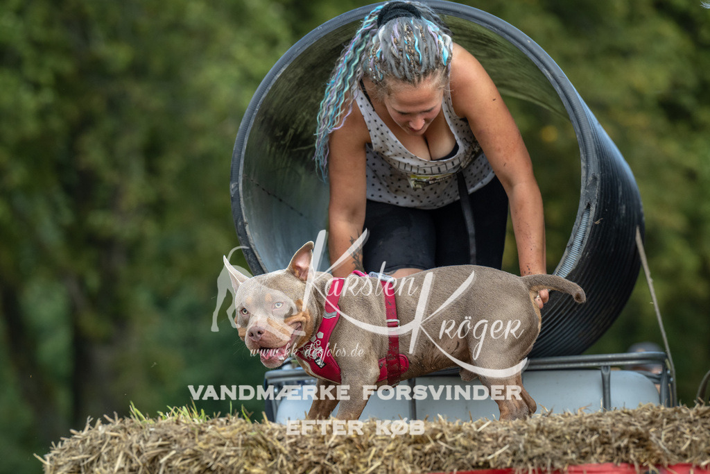 1412_ZZ90568 | kk-dogfotos