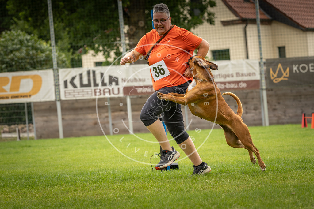 Pfotenfotografie_DV3A2715 | Hundefotografie, Tierfotograf, Pfotenfotografie, Fotoshooting Hund, Hunde Portrait, Hundesport, Hundeportraits, Heideshooting, Hunde, Sportfotograf, Hundefotograf, Turnierhundsport, THS,  - Realisiert mit Pictrs.com