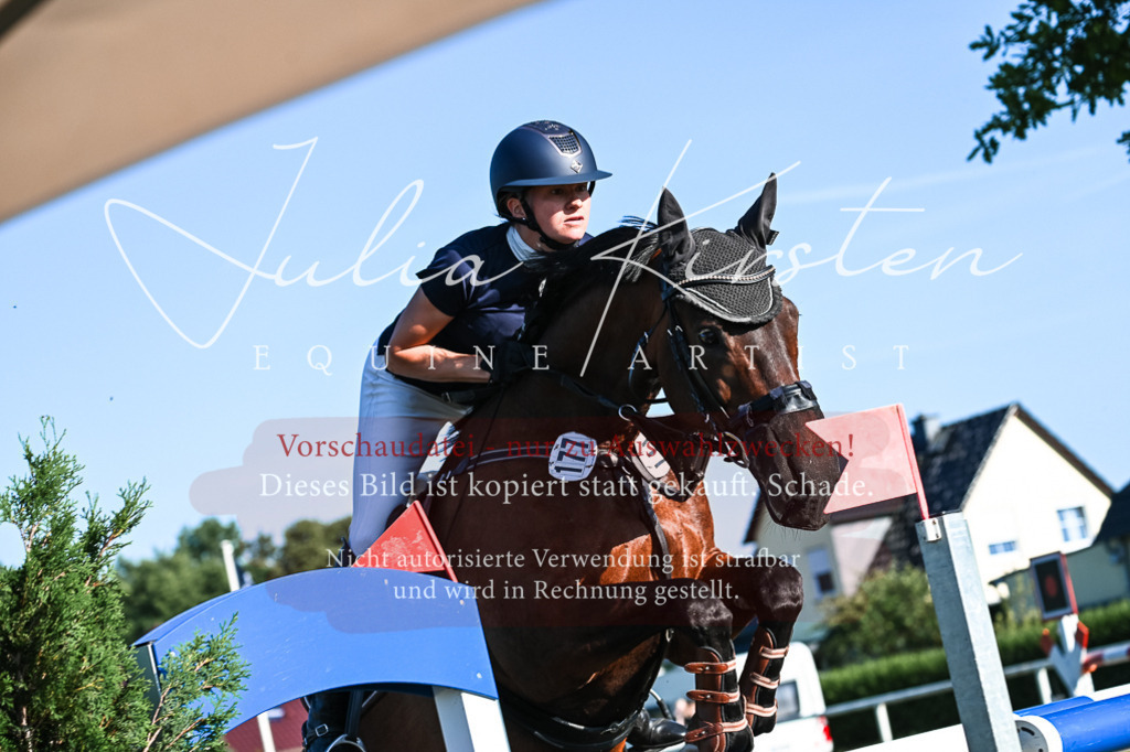 DSC_2987 | Pferde- und Turnierfotografie in Westsachsen. Pferdeportraits, Auftragszeichnungen und intuitive Kunst.