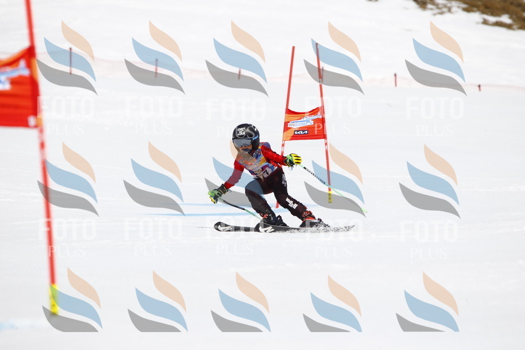 _U3G4649 | holidayphoto