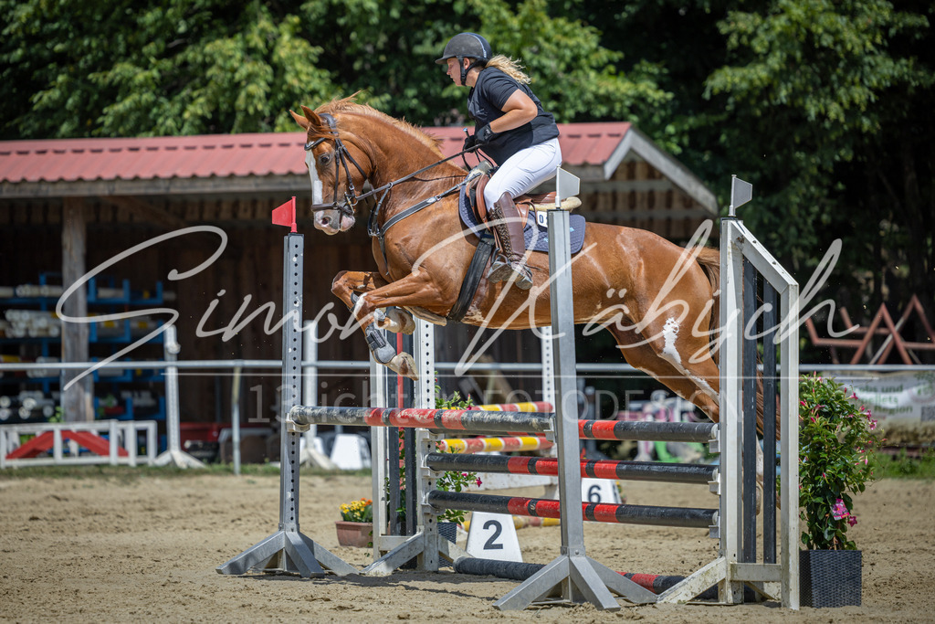 20260704-_3LI9738 | Tierfotografie Pferde, Hunde, Katzen, Haustiere.
Turnierfotografie Reitturniere, Reiten, Springreiten, Dressur in Hanau, dem Main-Kinzig-Kreis und dem Rhein-Main- Gebiet um Frankfurt